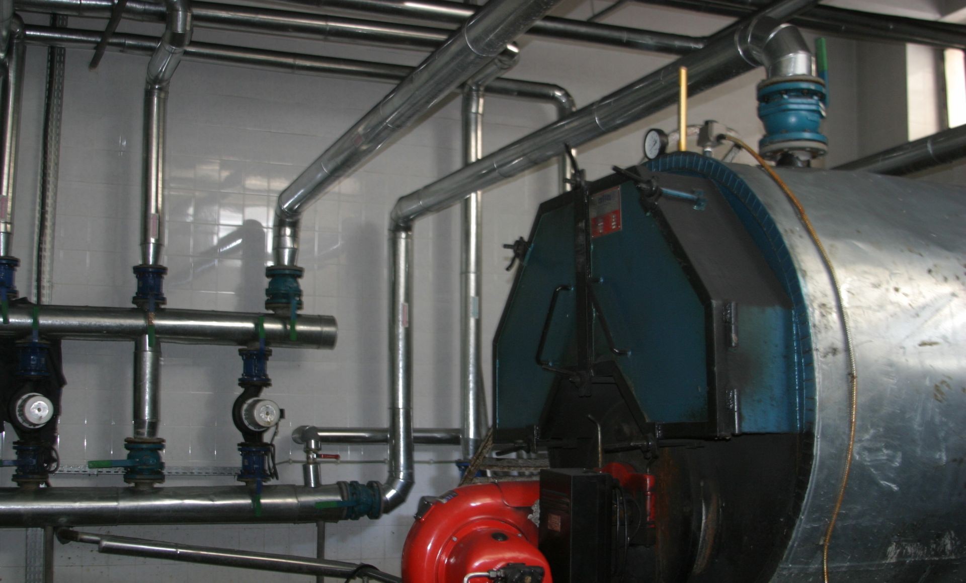 Gallery Image 7